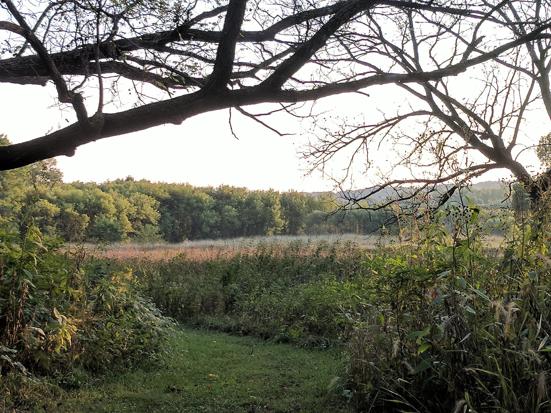 In a prairie near the Des Moines river