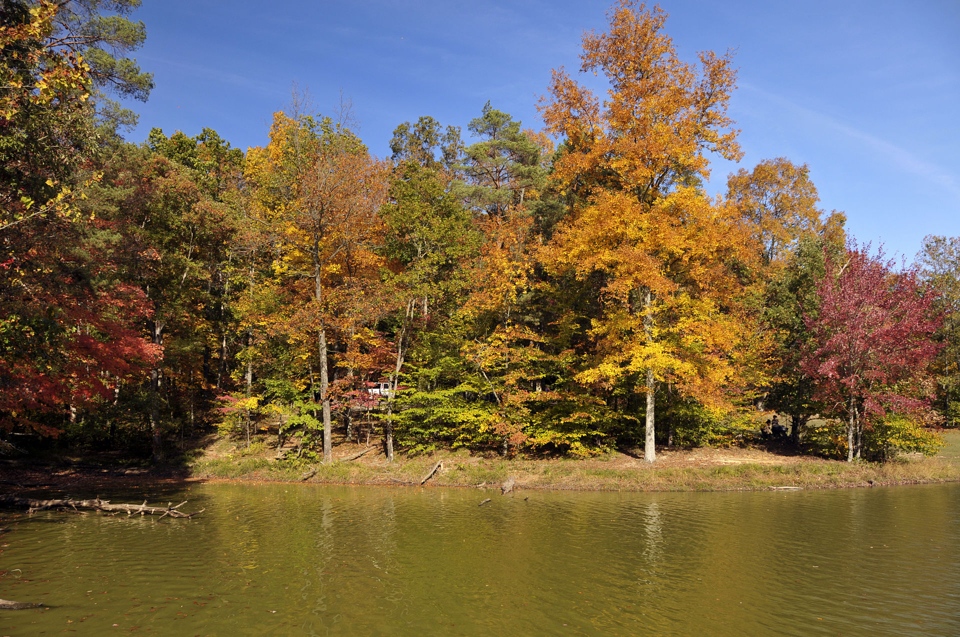 The shore of Brown County State Park's Ogle Lake