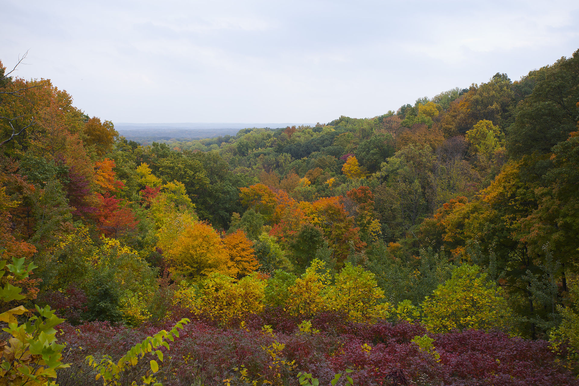 Fall foliage at Brown County State Park