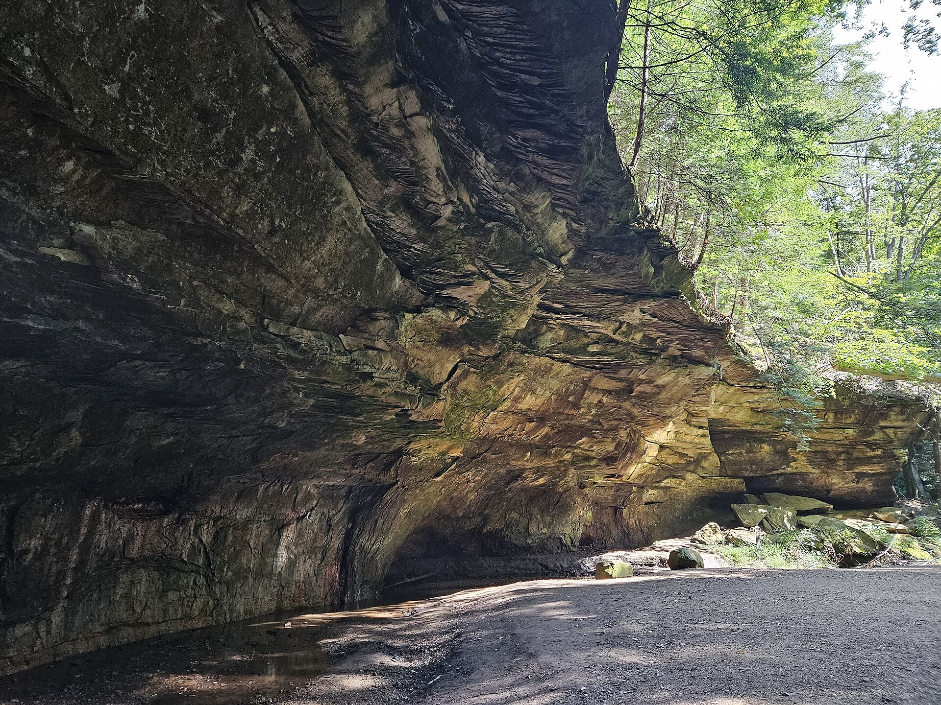 Sandstone gorges are a common sight at Turkey Run