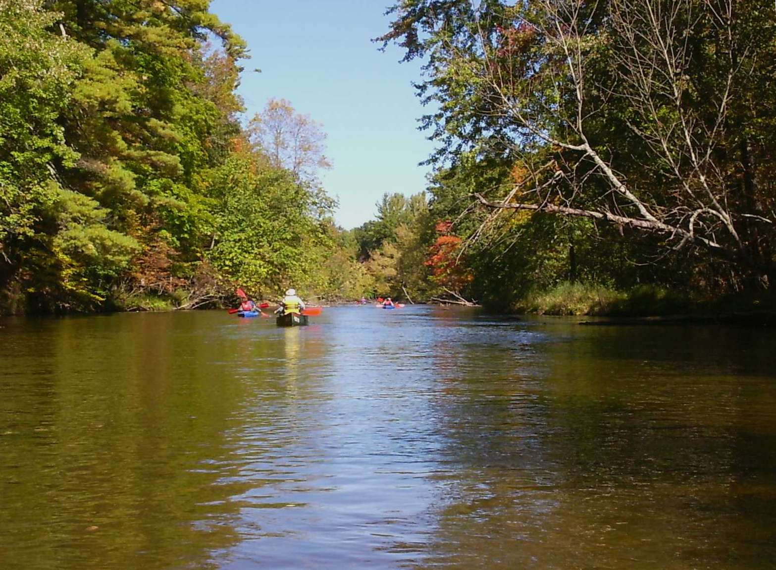 The Pere Marquette River, in Manistee National Forest in the autumn