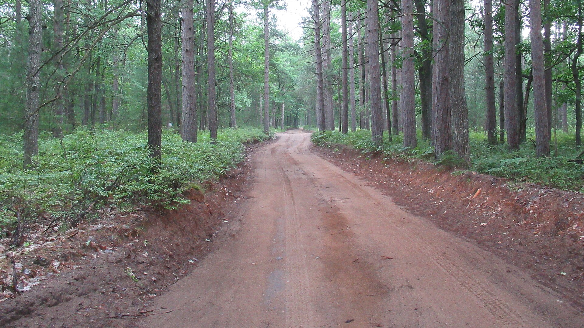 Sand Hill Trail leading to the park's entrance