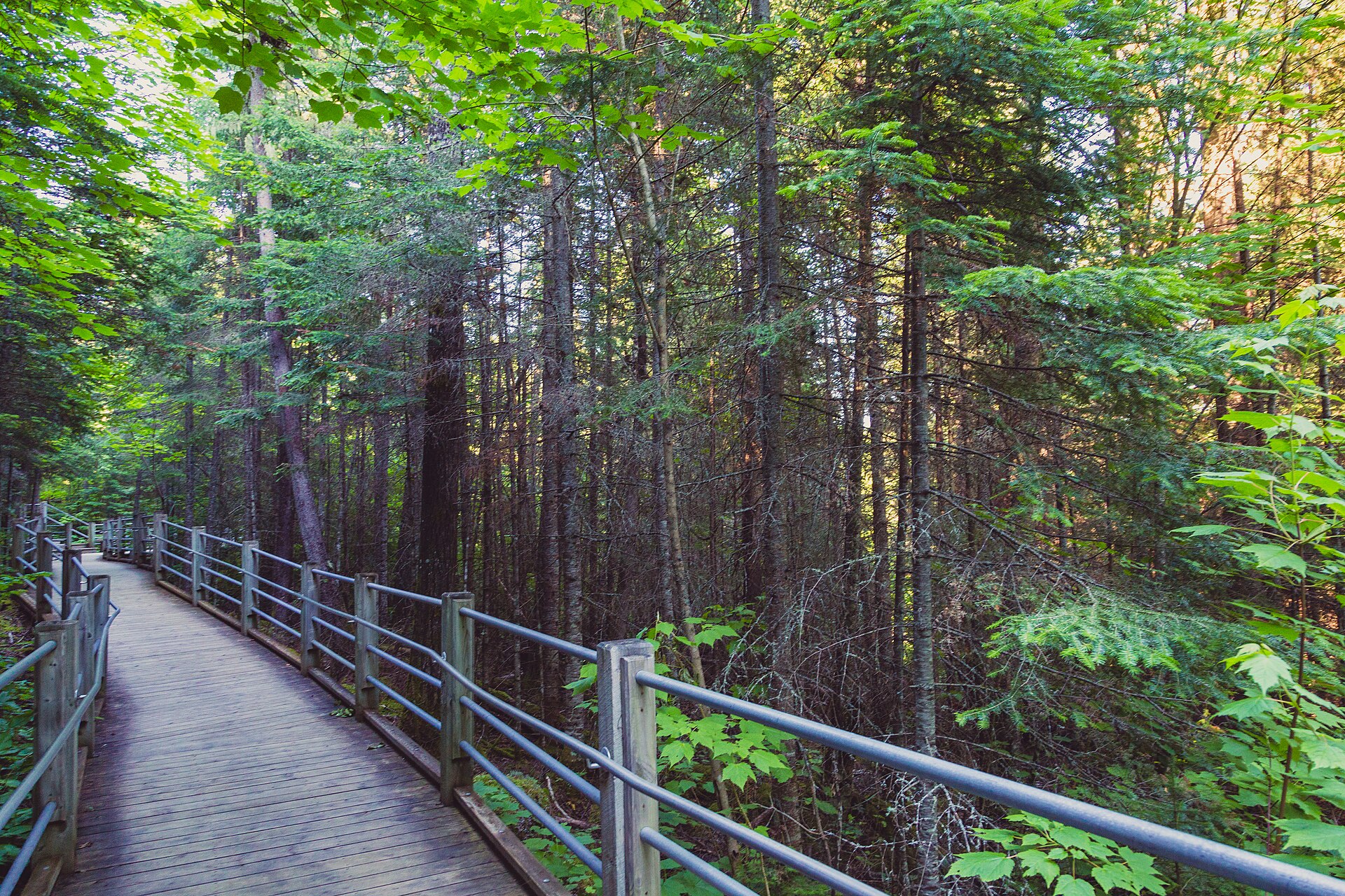 Grand Portage State Park High Falls boardwalk
