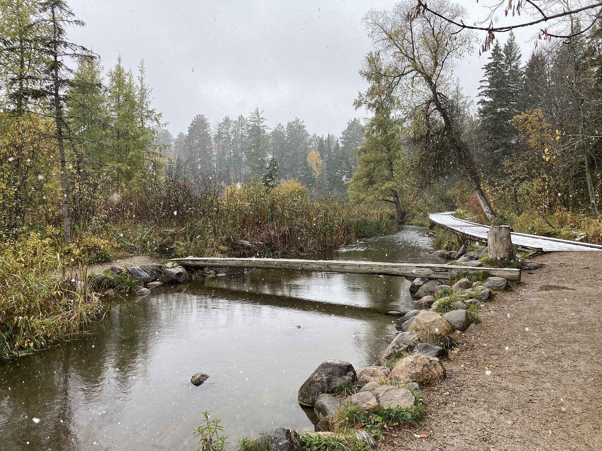 The first bridge (and only log bridge) over the Mississippi, about 25 feet west of its source at Lake Itasca