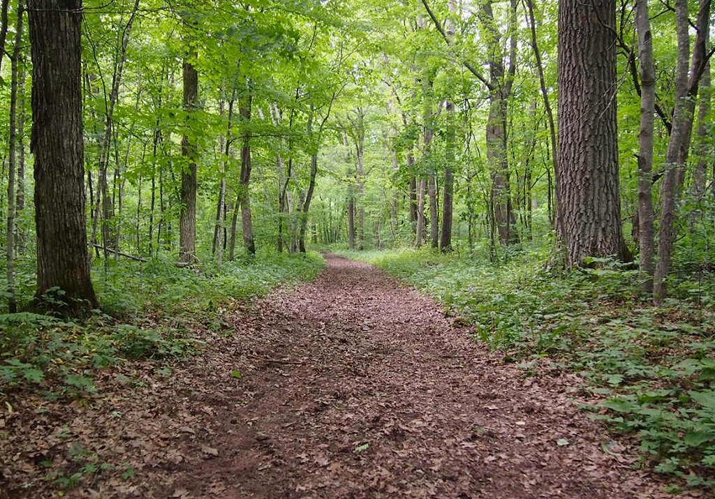 Point Douglas to Superior Military Road: Deer Creek Section 
