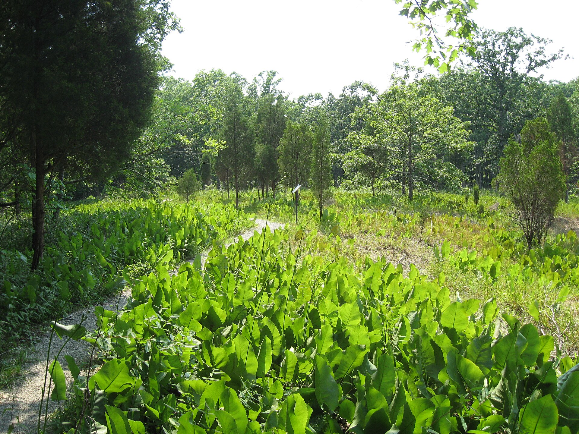 Adams Lake State Park