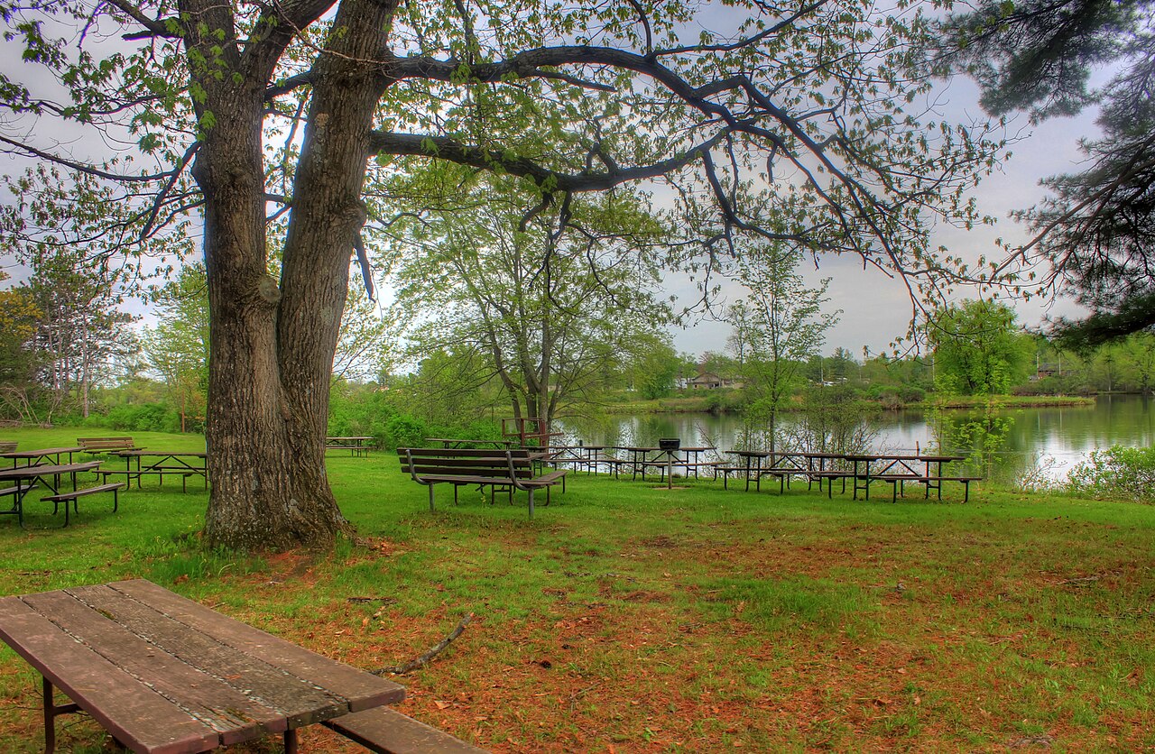Picnic area by the lake, May 2014