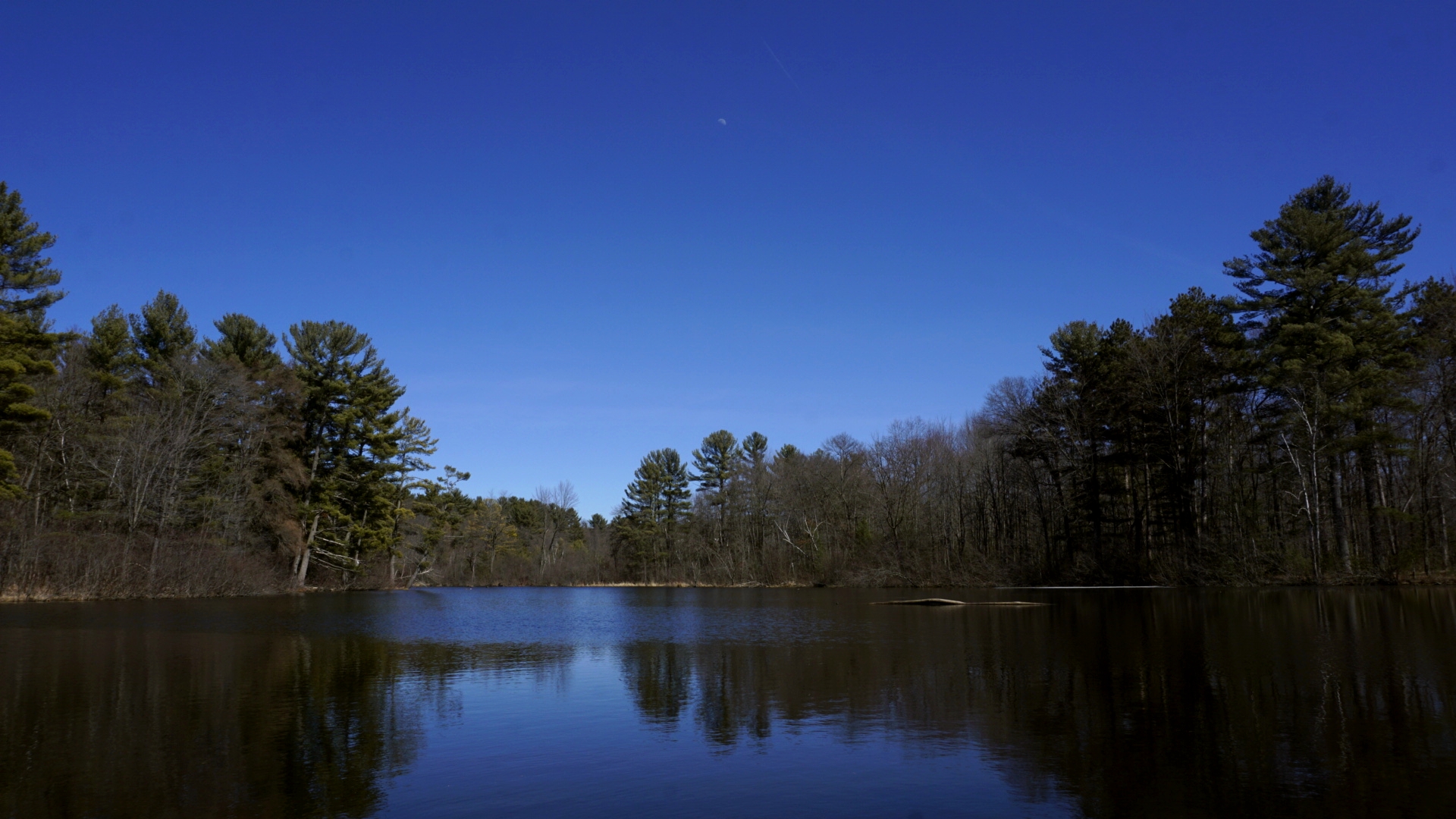 The boat landing portion of Lake Wissota
