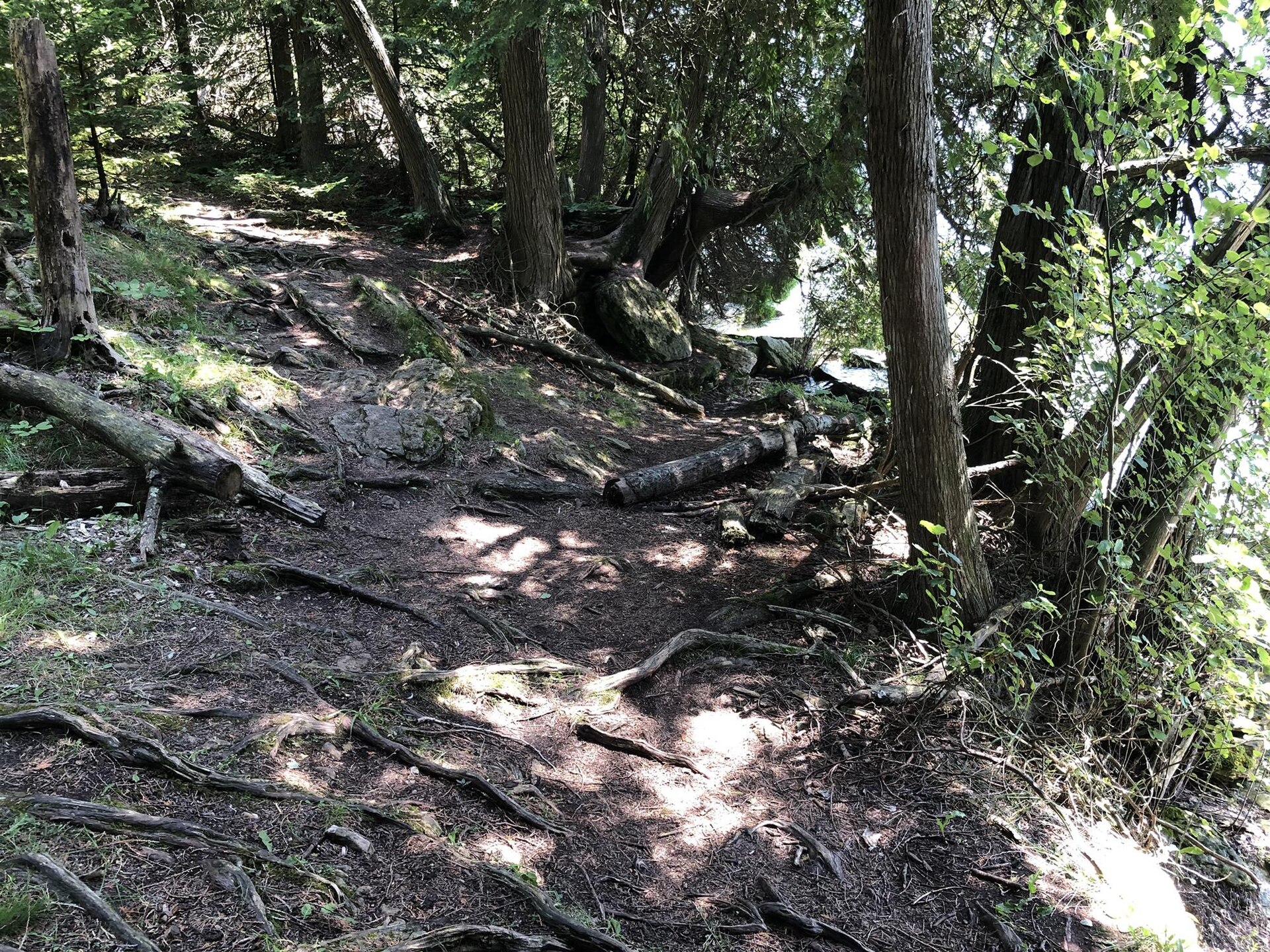 Newport State Park - Fern Trail